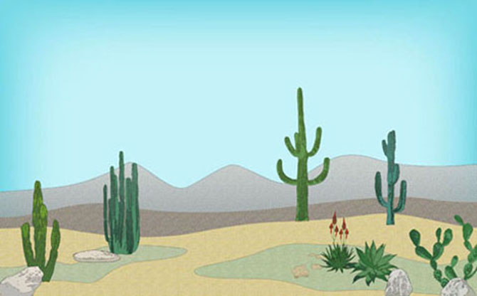 Desert Landscape