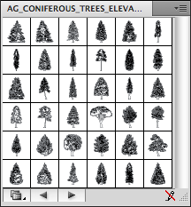Coniferous Trees - B&W