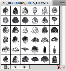 Deciduous Trees - B&W