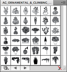 Ornamental Plants - B&W