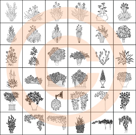 Ornamental Plants - B&W