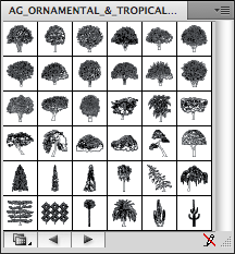 Ornamental Trees - B&W